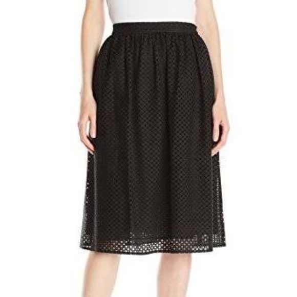 Lark & Ro Dresses & Skirts - 🌵Lark & Ro Black Eyelet Midi Skirt